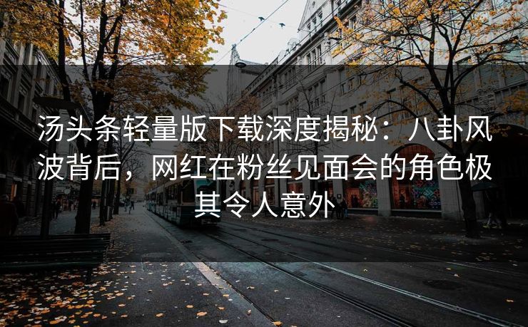 汤头条轻量版下载深度揭秘：八卦风波背后，网红在粉丝见面会的角色极其令人意外