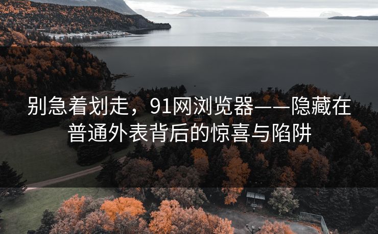 别急着划走，91网浏览器——隐藏在普通外表背后的惊喜与陷阱